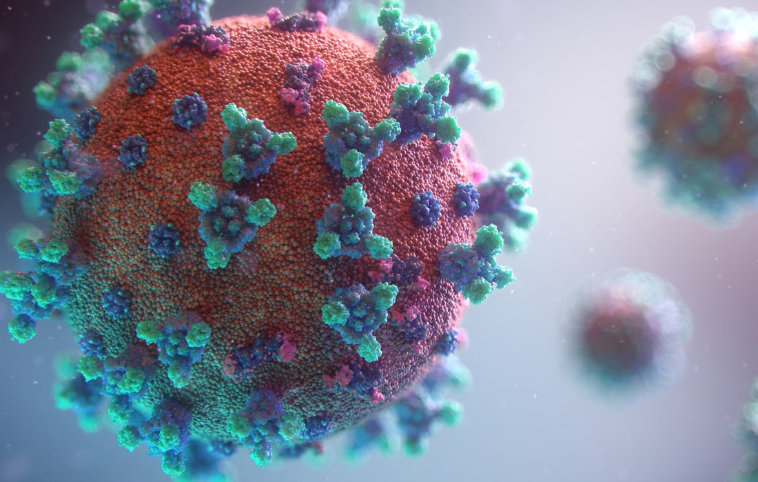 Corona Chaos, Cautions & Quarantine Tips: